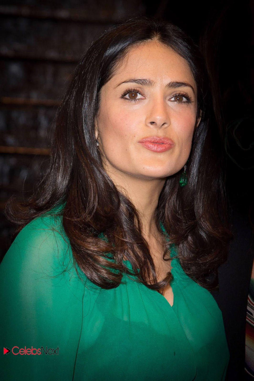 salma hayek naked tits how to have sex anal